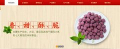 紅太*食品(榮成)有限公司制作網(wǎng)站新一代自助建站、智能建站系統(tǒng)