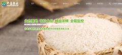 豐城市中*農(nóng)業(yè)發(fā)展有限公司網(wǎng)站建設(shè)新一代自助建站、智能建站系統(tǒng)